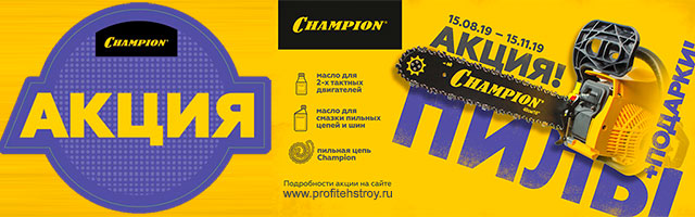  Champion