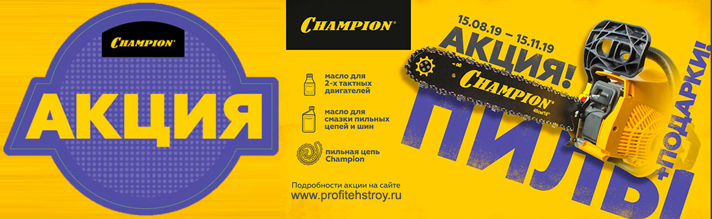  Champion